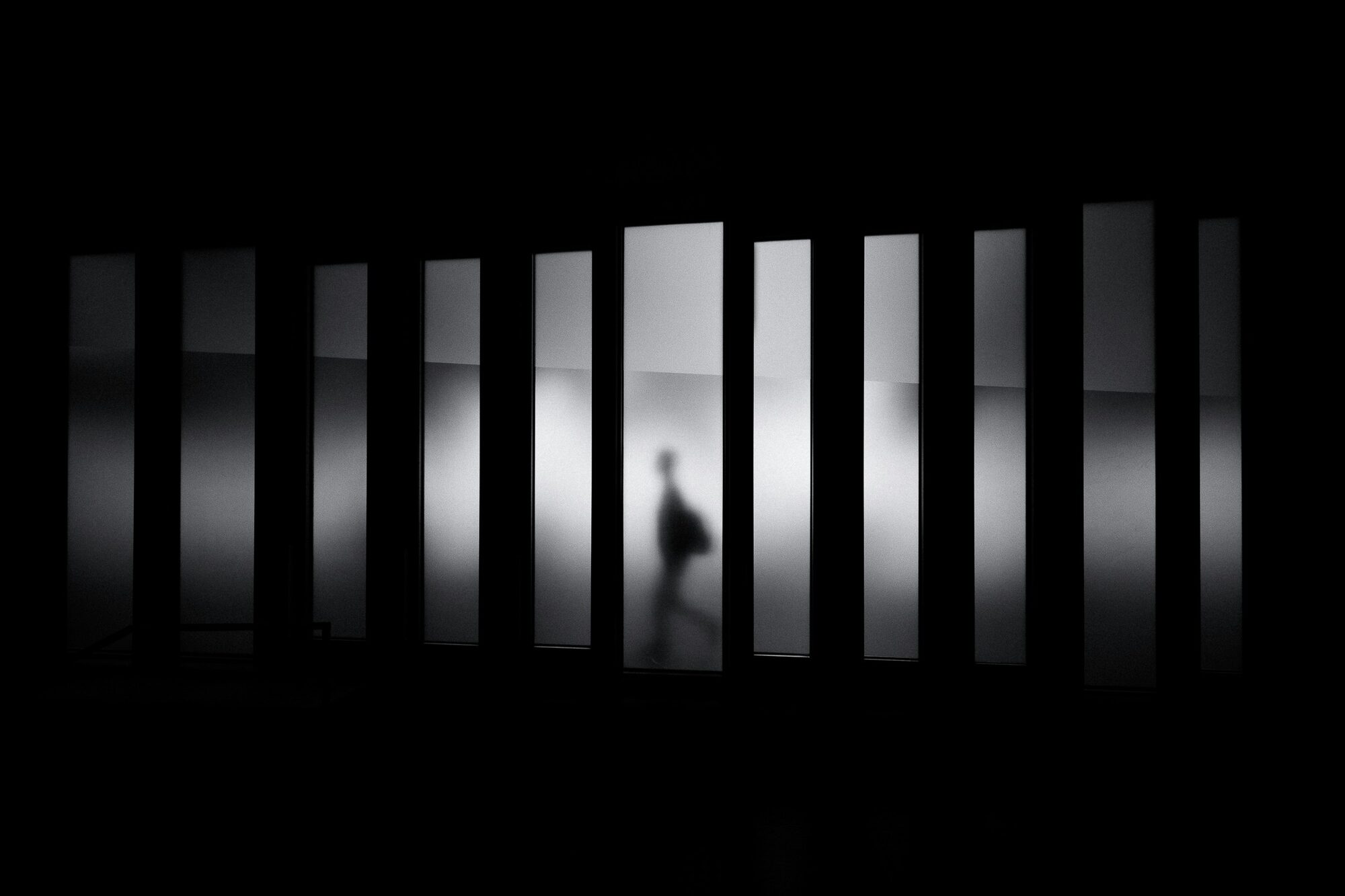 The fanned pages of an open book in dramatic light