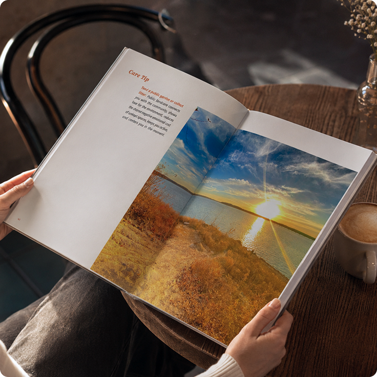 Mars Can Wait book
